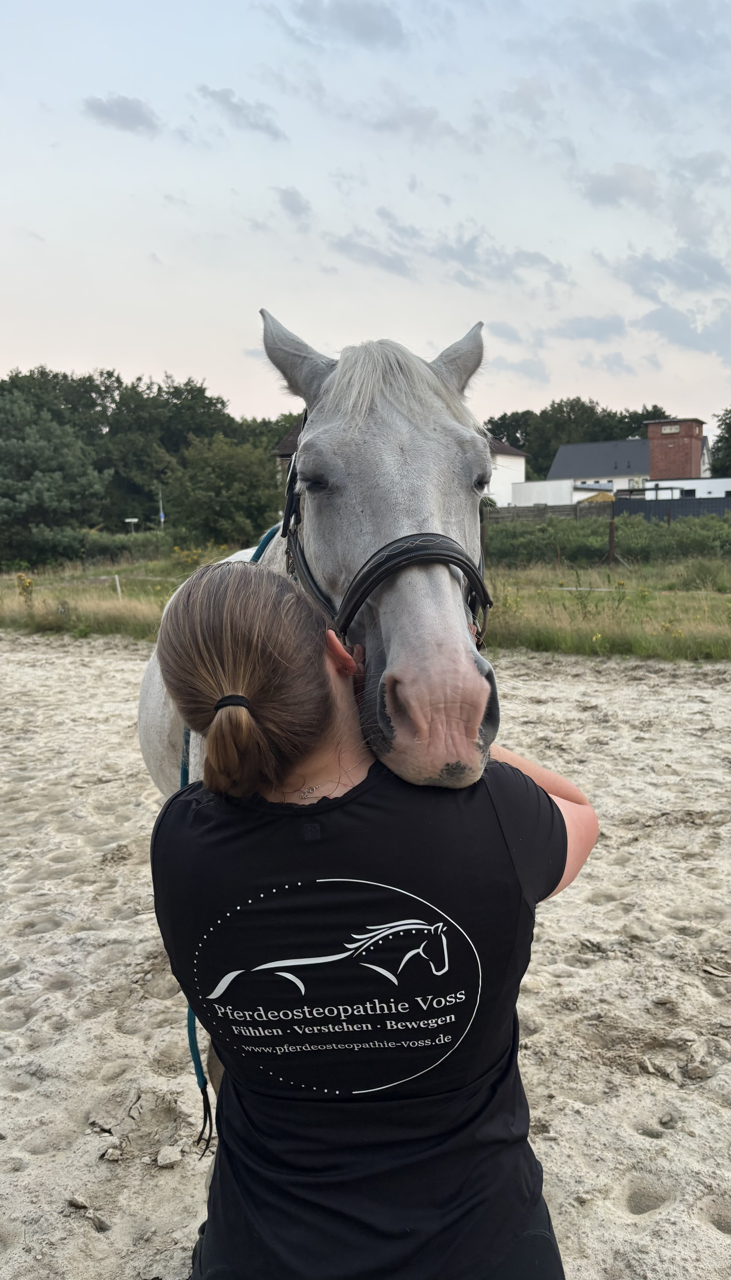 Indikationen Pferde Pferdeosteopathie Voss Winsen Celle