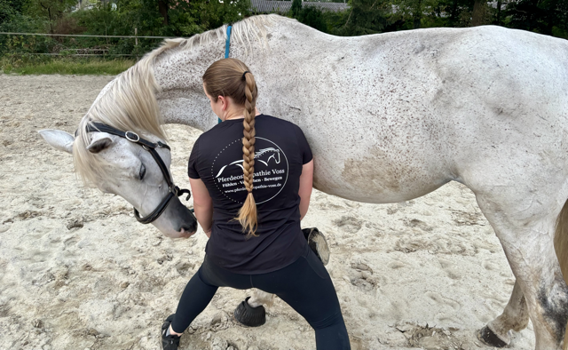 Behandlung Blockaden Schmerzen Pferdephysiotherapie Voss