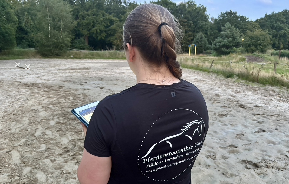Anamnese Pferdeosteopathie Behandlung